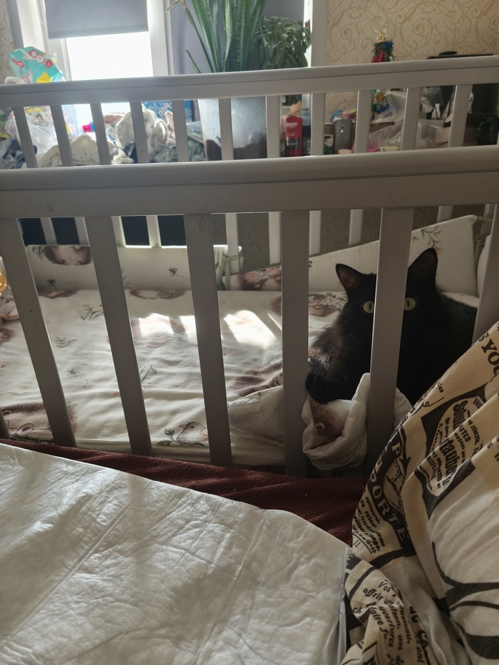 ����� �����