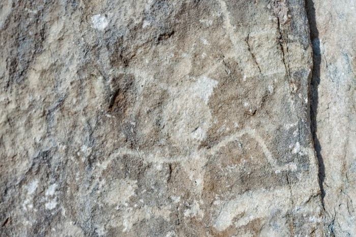 ��� �����-����. ����: ��������� ��������