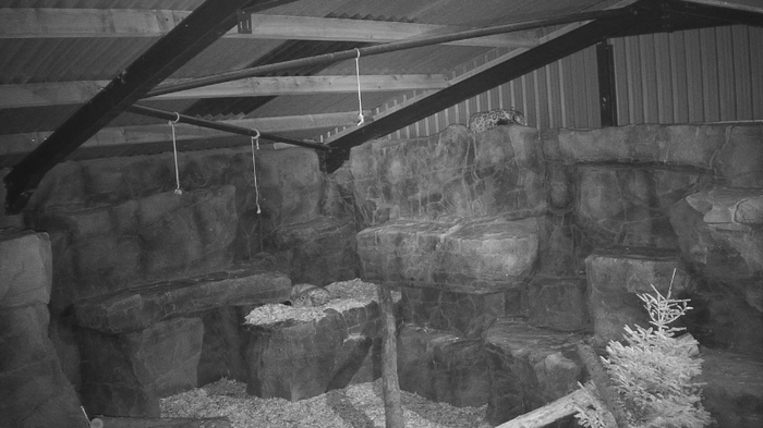 ������� ����� ����� � �����