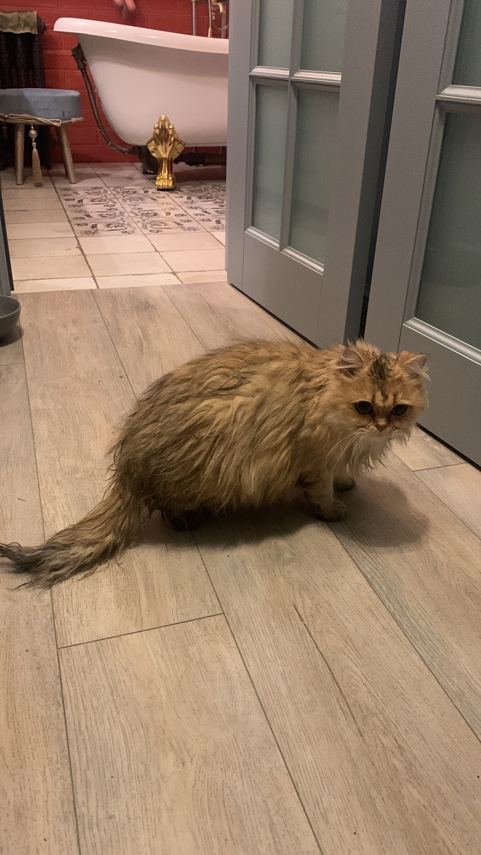 ������ �������� ������� �� ������