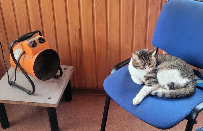 ����� ������ ��������