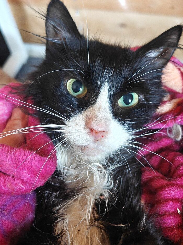 ��� �� ������� (������ ����� - ����������)