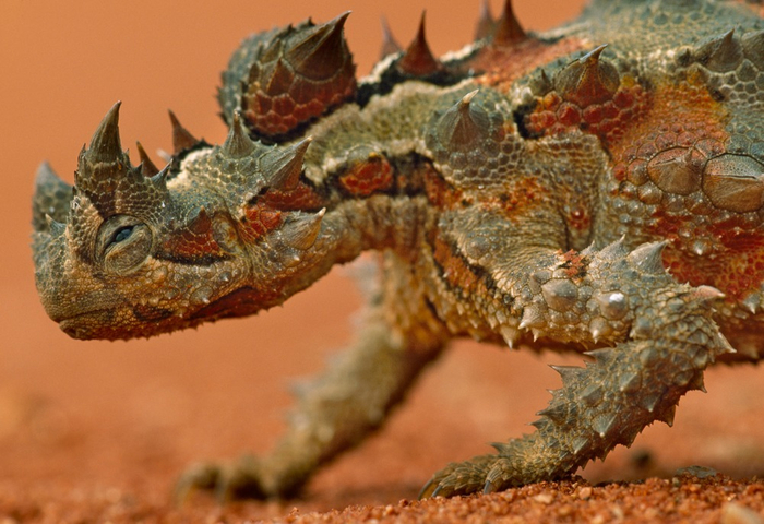 ���-��� ���� � ����.