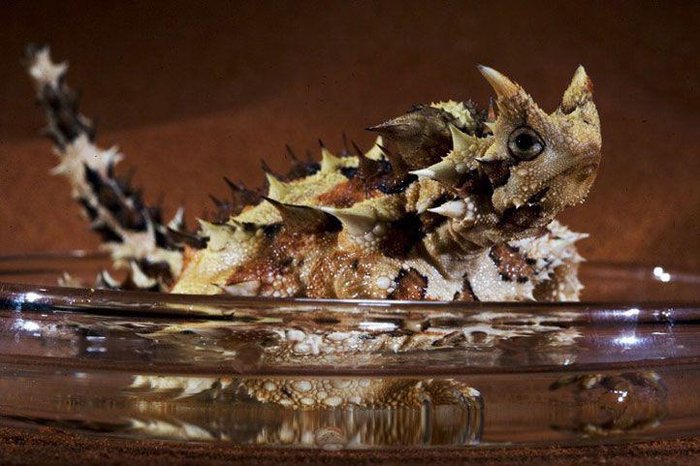 �������� �� ���� ���� �����������, ������ ������� �� ������������ �� �������� ���������� ����. ������ ���� ��� �������� �������: �������� � ���� ���� ����� � ����, ���� ������ �� �������� ���� �� ���.