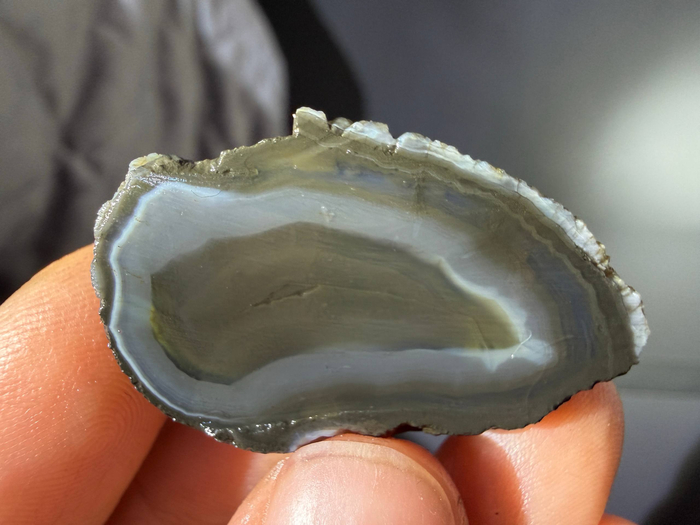 �������� �������