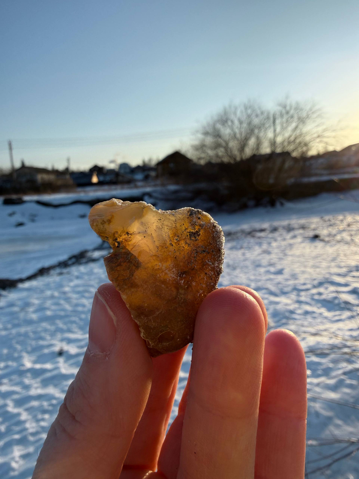 ������ ��������