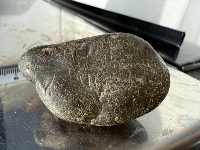 Ҹ���� ��������