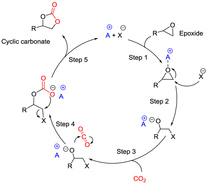 A+: ������ �������, �������������� "���������" ��� ��������� ���������; X-: �������� ����� �������� (���������������� <a href="https://pikabu.ru/story/litofinovaya_gipoteza_molekulyarnyie_mekhanizmyi_fotoindutsirovannoy_petrifikatsii_trolley_13773918?u=https%3A%2F%2Fru.wikipedia.org%2Fwiki%2F%25D0%259D%25D1%2583%25D0%25BA%25D0%25BB%25D0%25B5%25D0%25BE%25D1%2584%25D0%25B8%25D0%25BB&t=%D0%BD%D1%83%D0%BA%D0%BB%D0%B5%D0%BE%D1%84%D0%B8%D0%BB%D1%8C%D0%BD%D1%8B%D0%B9&h=1c274167a26a63ceb372be9cf142c644024e54c8" title="https://ru.wikipedia.org/wiki/%D0%9D%D1%83%D0%BA%D0%BB%D0%B5%D0%BE%D1%84%D0%B8%D0%BB" target="_blank" rel="nofollow noopener">�������������</a> ���� ���� �� ������������ <a href="https://pikabu.ru/story/litofinovaya_gipoteza_molekulyarnyie_mekhanizmyi_fotoindutsirovannoy_petrifikatsii_trolley_13773918?u=https%3A%2F%2Fru.wikipedia.org%2Fwiki%2F%25D0%25A6%25D0%25B8%25D1%2581%25D1%2582%25D0%25B5%25D0%25B8%25D0%25BD&t=%D1%86%D0%B8%D1%81%D1%82%D0%B5%D0%B8%D0%BD&h=c458b64fe247d13b68a4241302e2d7f150920d66" title="https://ru.wikipedia.org/wiki/%D0%A6%D0%B8%D1%81%D1%82%D0%B5%D0%B8%D0%BD" target="_blank" rel="nofollow noopener">�������</a> ��� ����� �� ������������ <a href="https://pikabu.ru/story/litofinovaya_gipoteza_molekulyarnyie_mekhanizmyi_fotoindutsirovannoy_petrifikatsii_trolley_13773918?u=https%3A%2F%2Fru.wikipedia.org%2Fwiki%2F%25D0%2593%25D0%25B8%25D1%2581%25D1%2582%25D0%25B8%25D0%25B4%25D0%25B8%25D0%25BD&t=%D0%B3%D0%B8%D1%81%D1%82%D0%B8%D0%B4%D0%B8%D0%BD&h=190d80f46e0758d13f325997e6f538d84232a84f" title="https://ru.wikipedia.org/wiki/%D0%93%D0%B8%D1%81%D1%82%D0%B8%D0%B4%D0%B8%D0%BD" target="_blank" rel="nofollow noopener">��������</a>); R: �������������� ������ ����������������� �������