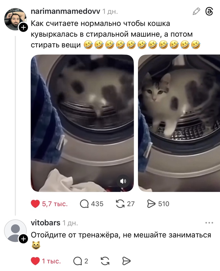 ������������ ��������