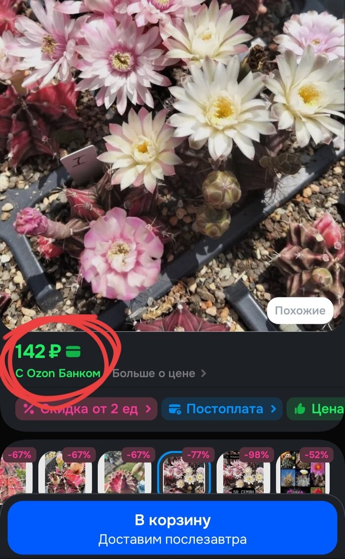 ��� ������ �� �����