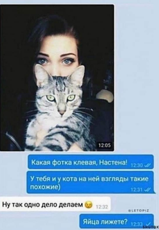 ����� ������� �������� � �������