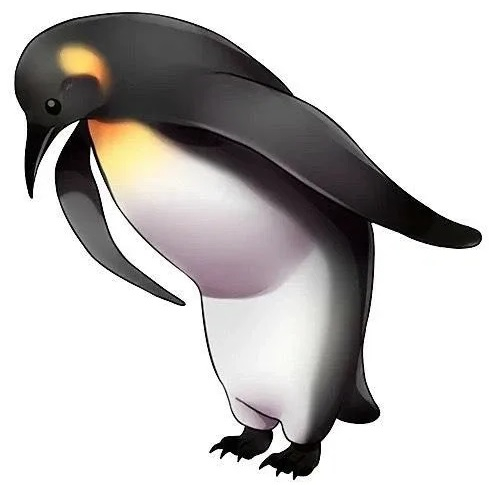 ���������� - ������ ���, ���-��, ����� ������ � ��� ������� � ������ ����