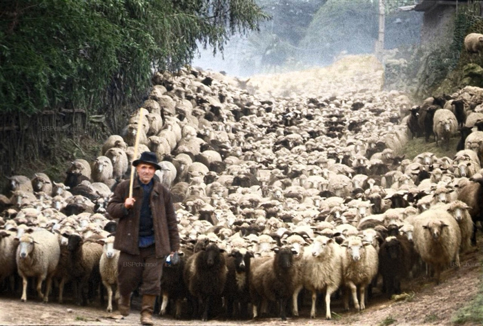 ��������: ������� ������