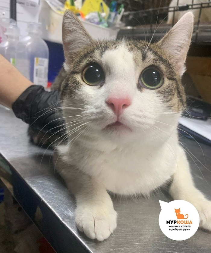 ����� �������� ��������� ��������� ���� ���������.