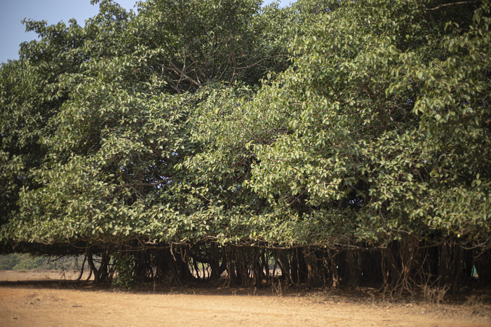 ��� �������� �������.