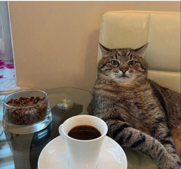 ������������ ����������� ����� "�������: ���������� ������ vs ����"