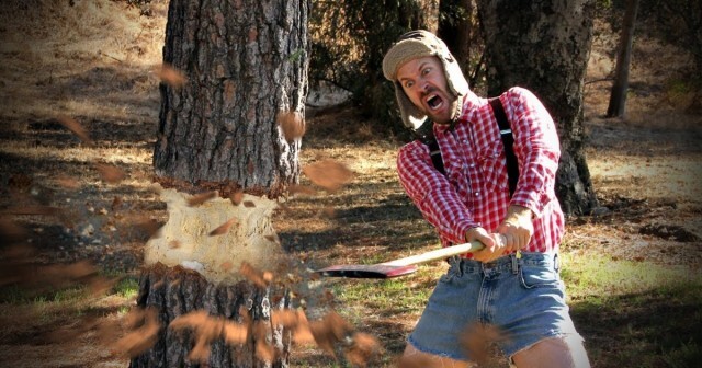 ������ �������� � ���� �������.