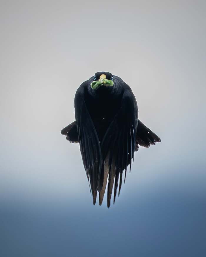 ���������������� ������ ������.