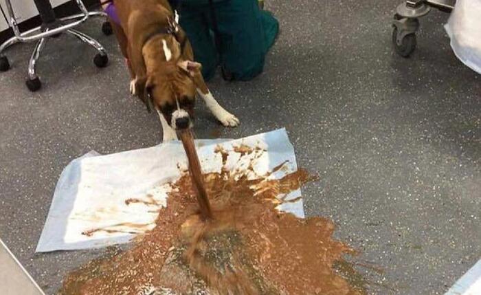 ������ �� ��������, ��������� �������� ��� �����������