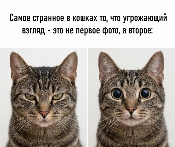 ��� ���� ������, ��� ����� ����