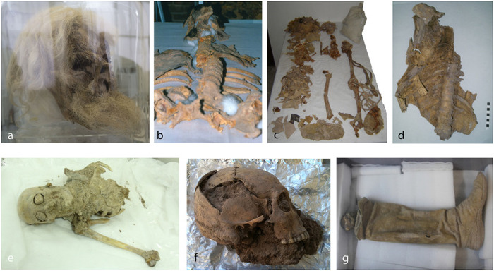 Фото находок останков шахтеров в соляных шахтах Ирана.