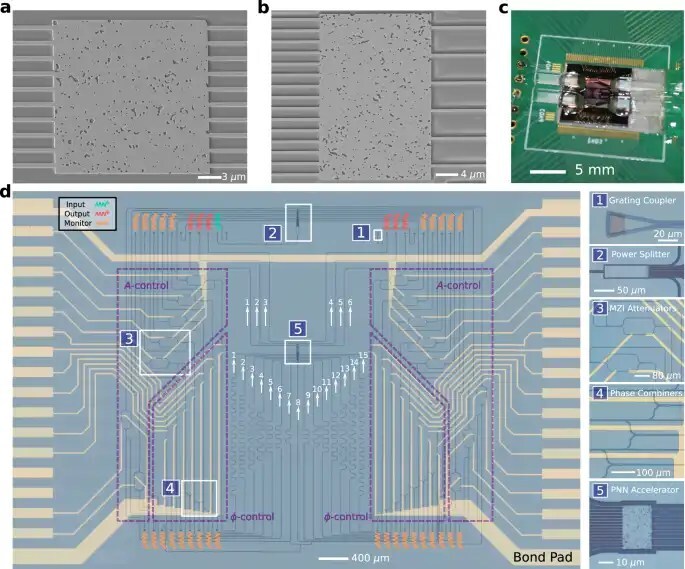 ������ ������������ ������������ ���������� ����� MNIST (20×20 ���) � MedNIST (30×20 ���), ��������� �� ��������� �������-��-���������. ������: Joel Sved et al. ��������: Nature Communications.
