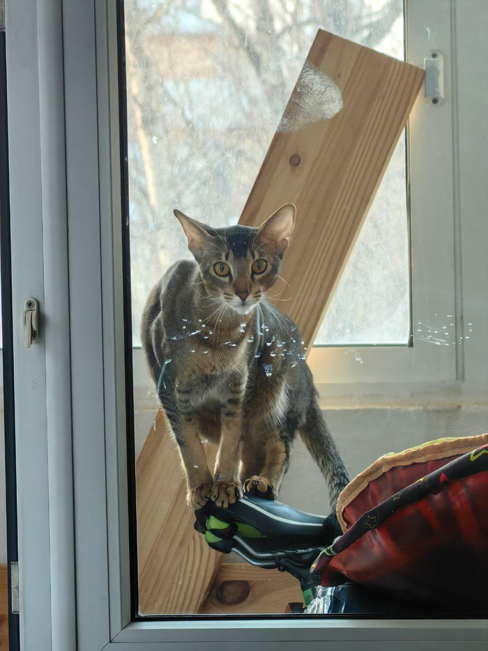 ��� ������� ��������� ��������� ����� �������� � ������� �� �������