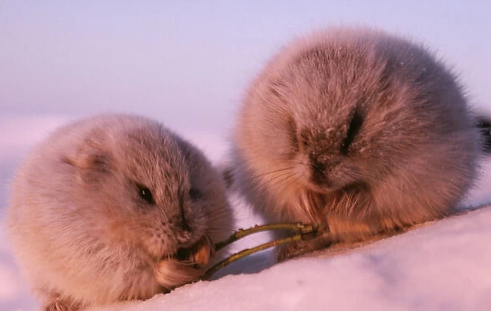 � �� ���, ����� ������ �����? ��� ��� ������ ���. ���, ��� ���� �������� ��� � ��������� �����!