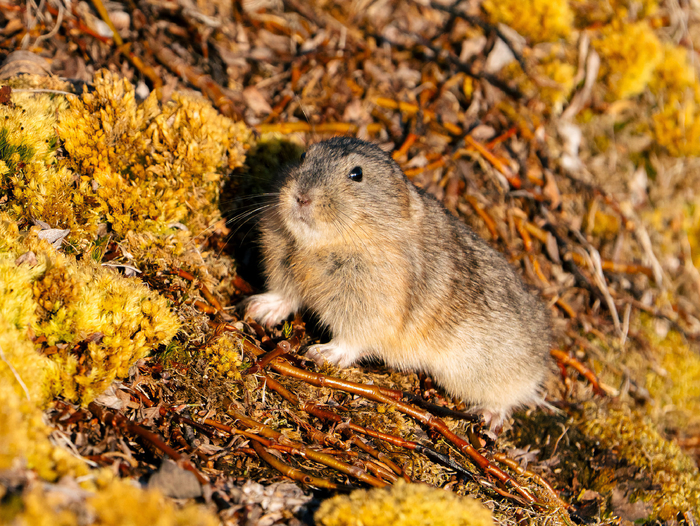 ������� � ������������ �� ���� ��������� ��������, ��� � ���� ���������� ��������� �����!