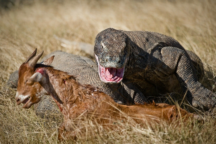 ����� �� �����������, ������ ���� ��� ���� - �������!