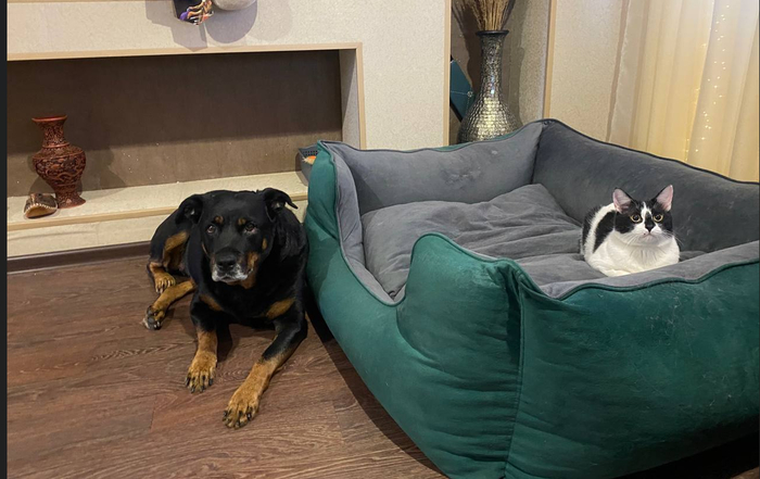 ��������, ���� �������� �������?