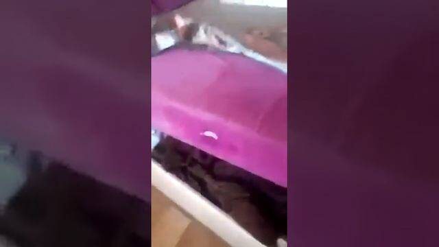 ������������
