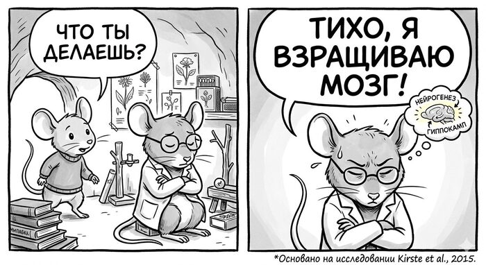 ������ ��������� ����� ������� � ����� �������� ��������