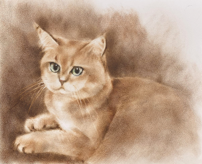 Портрет кошечки