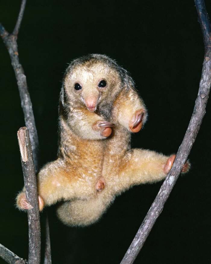 ���������� ��������.