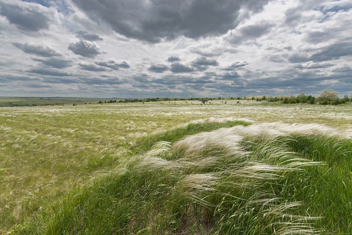 ����� ��� ������