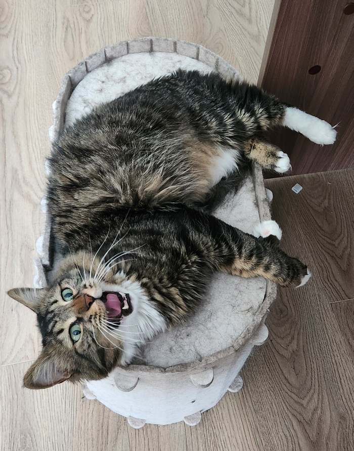 ���������� ������� #228