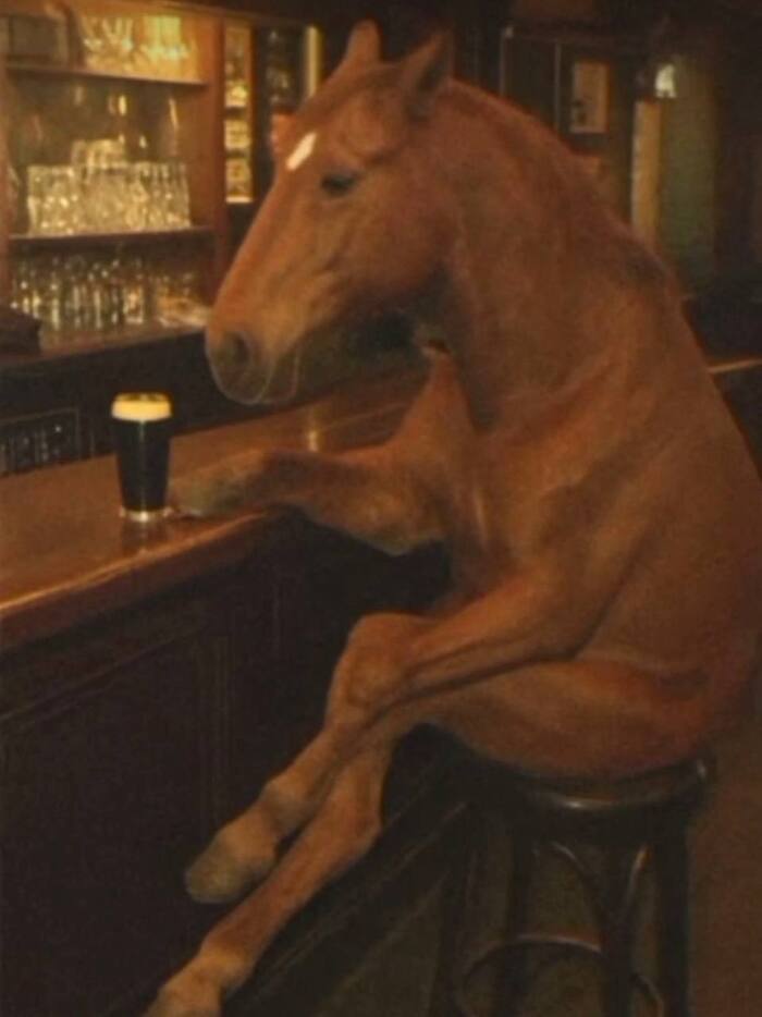 ���� ����� ���� ������: