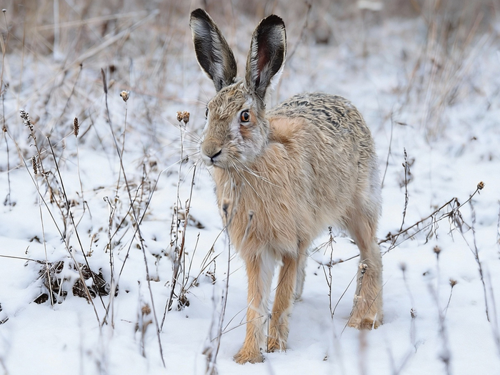 ����� ����� � ����� �������� ����� ��������� � �� ��������, ���� �� �������������. ����� �� ������� �������� ���������: ����� ������ ��������� �������, � � ������ �� ������� ���������, ����� ���������� �������.