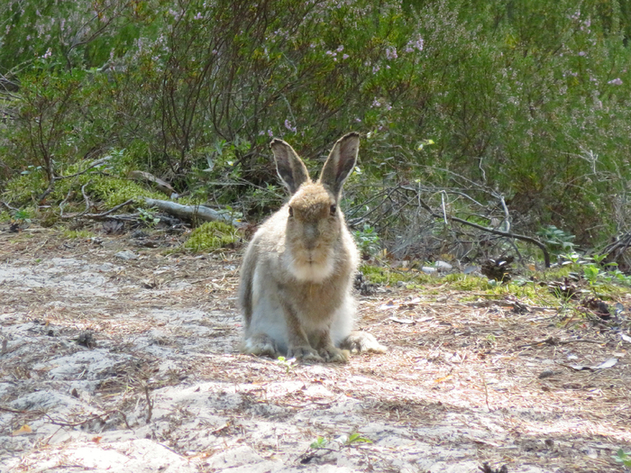 � �������� ������ ����� ����� �� ������� ������.