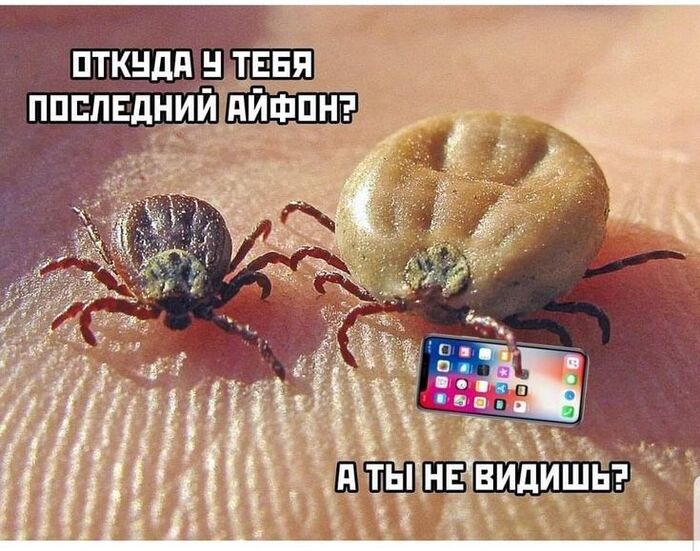 ������� �������� iPhone?