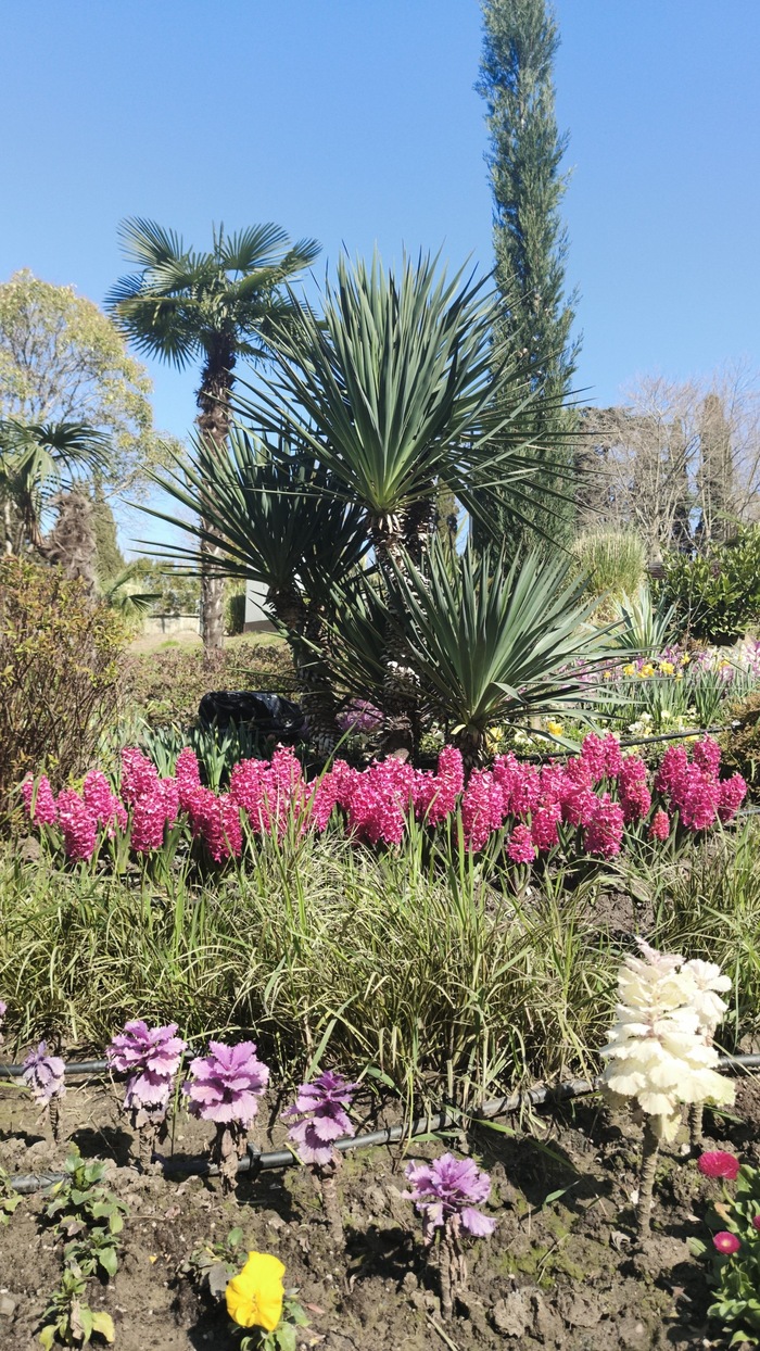 �������� � ������������ �������)