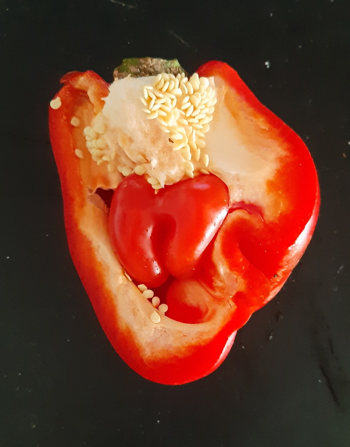 Ответ на пост «Живородящее растение! Да, бывает и такое»