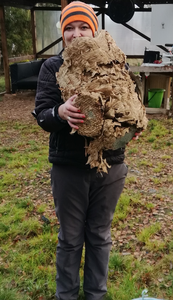 ����� �� ���� ����������� �������: ���� ������ �������� ����, � ������ �� ����������� �� �������