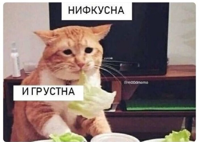 �� ������� �������