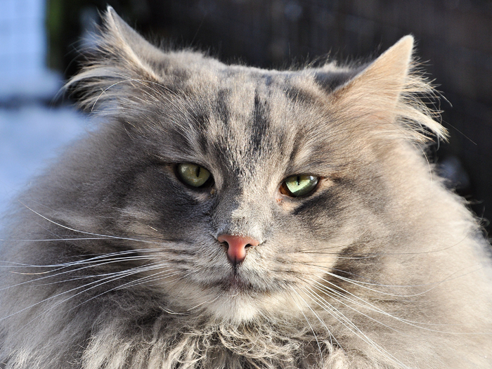 �� ��� �� ����, �� �� ����� ����������.