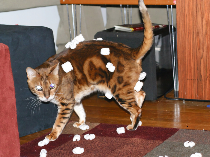 ���� ��������� ����� �������� ��������, ���������� �������� ��������� � ���������. ��� ����� ��� ��� ��������� �������� �������, ������ ������� ���� �����, ����� ����� ����������� ����������.