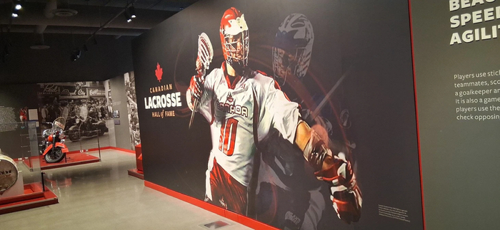 ��������: tripadvisor