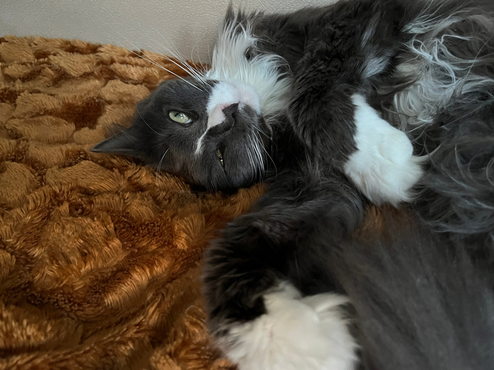 ����, ������� ����� ��������