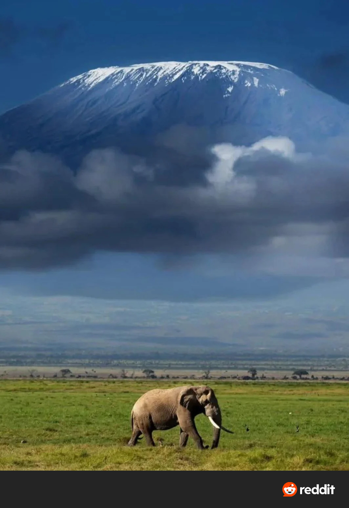 ��� ���������� ��� �� ������������...